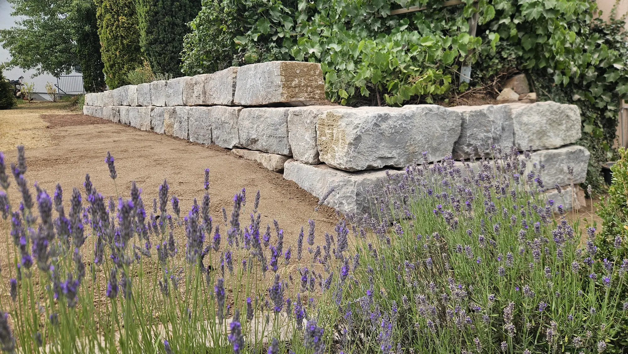 Natursteinmauer mit Lavendelpflanzung