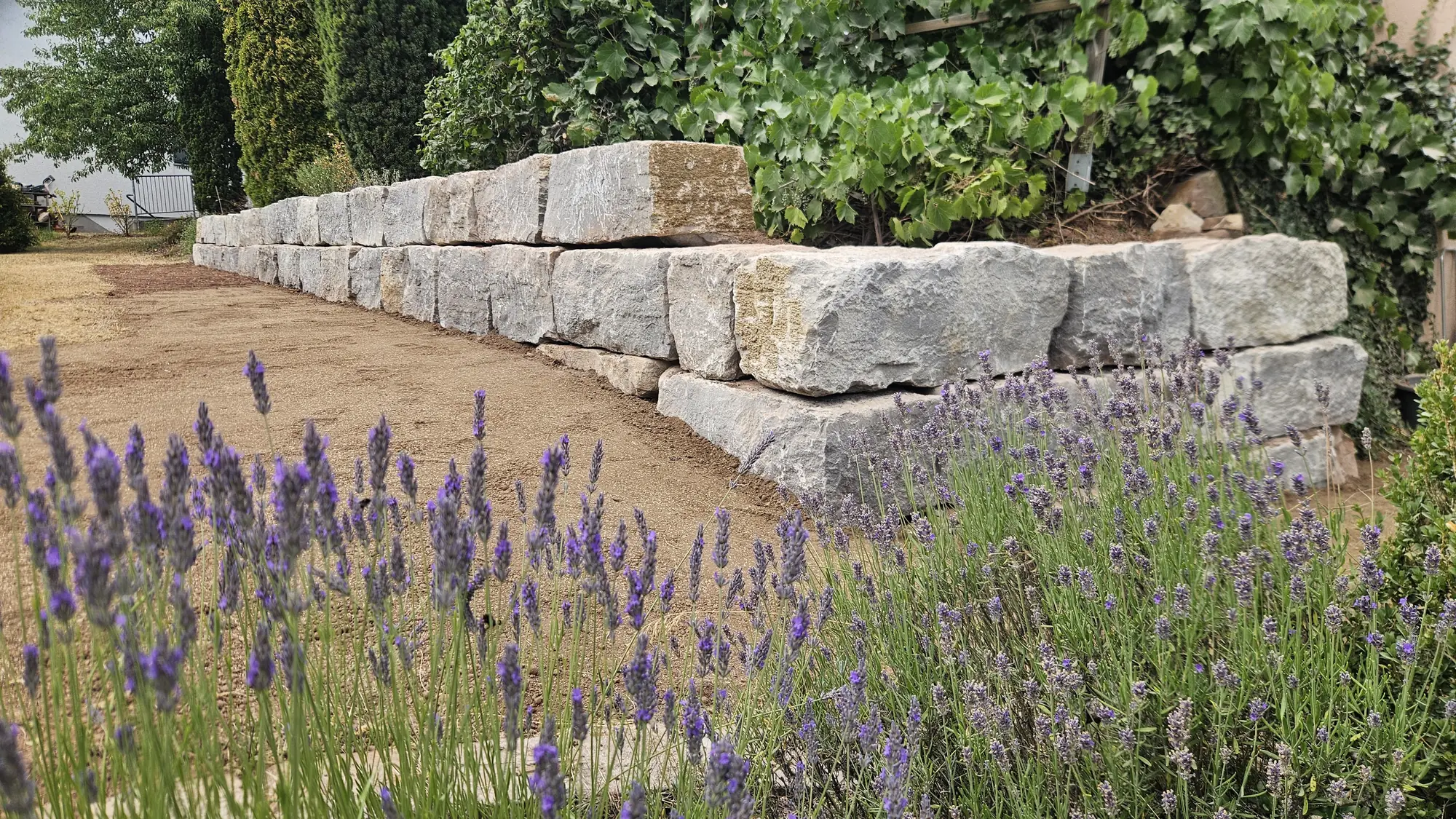 Mauer aus großen Natursteinblöcken mit Lavendel davor