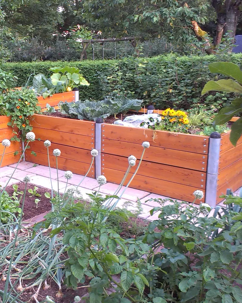 Hochbeete aus Holz mit Gemüse und Blumen in einem Garten