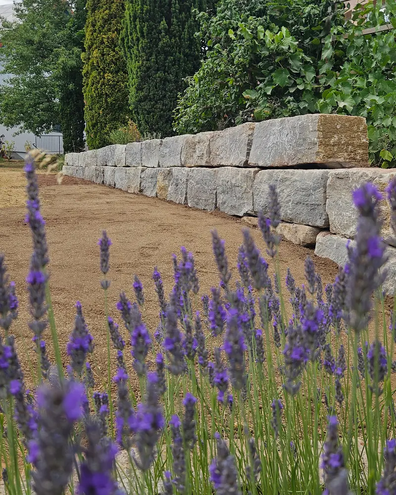 Mauer aus Natursteinblöcken, im Vordergrund blühender Lavendel