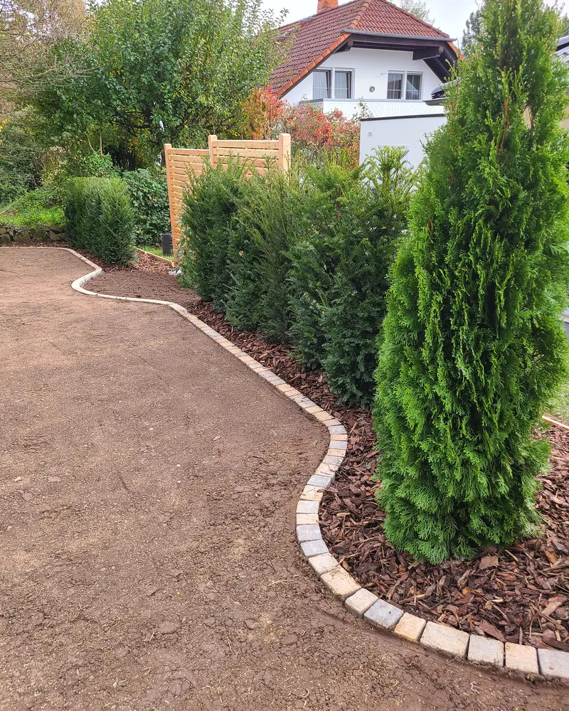 Geschwungene Rasenkante aus Pflastersteinen entlang einer jungen Hecke