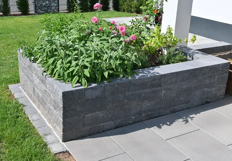 Hochbeet aus grauen Mauersteinen mit Rosen und Salbei
