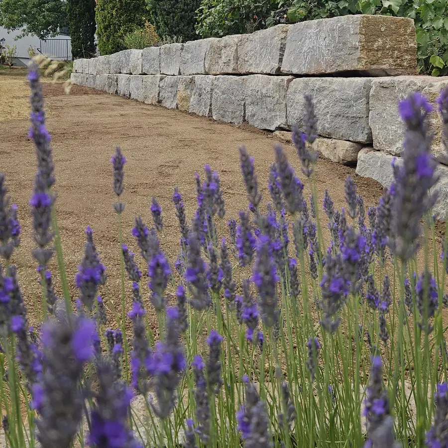 Lavendel vor einer Mauer aus Natursteinblöcken